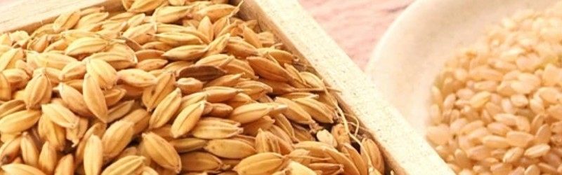 ���`���ƐH���I���N�����y�A���t�@�[�H�i�̂Ղ����Ƃ������āz���T�C�g